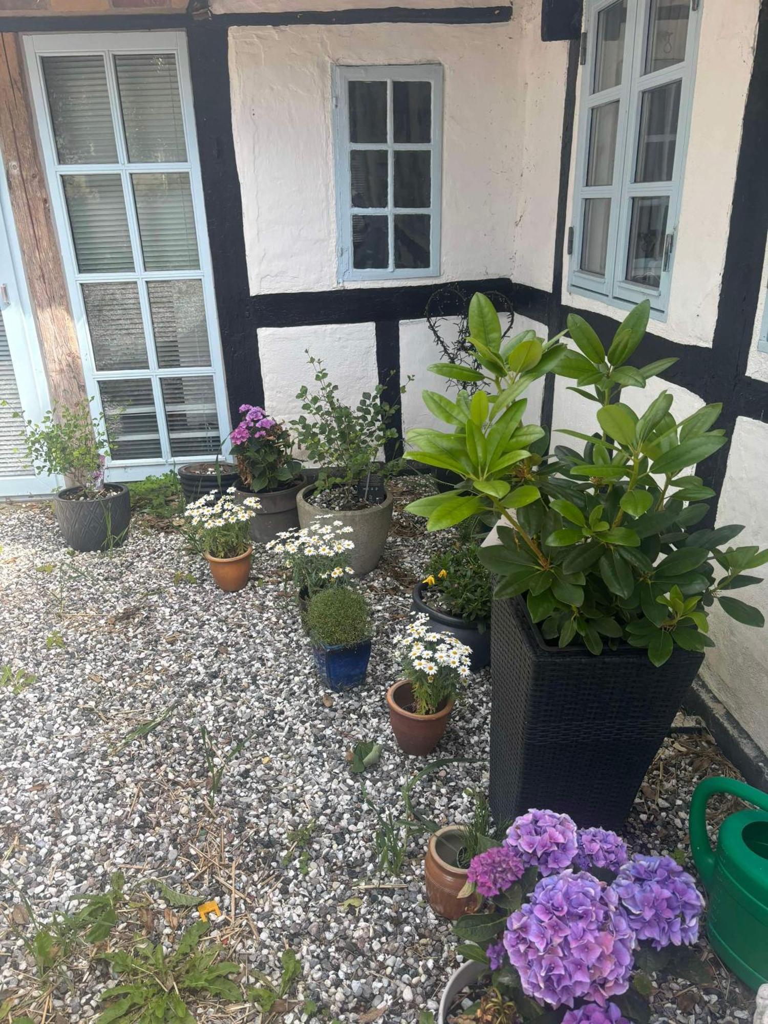 Vila Troldehuset Bogense Exteriér fotografie